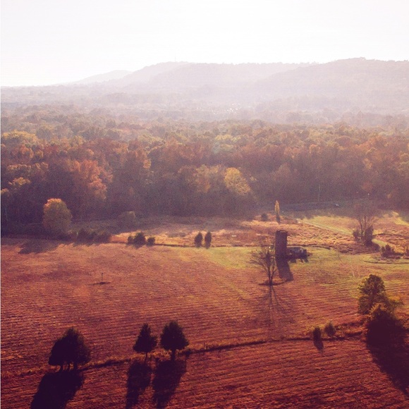 Cinderella Enamel Pin - Gus Gus | Disney - Picture 2 of 6